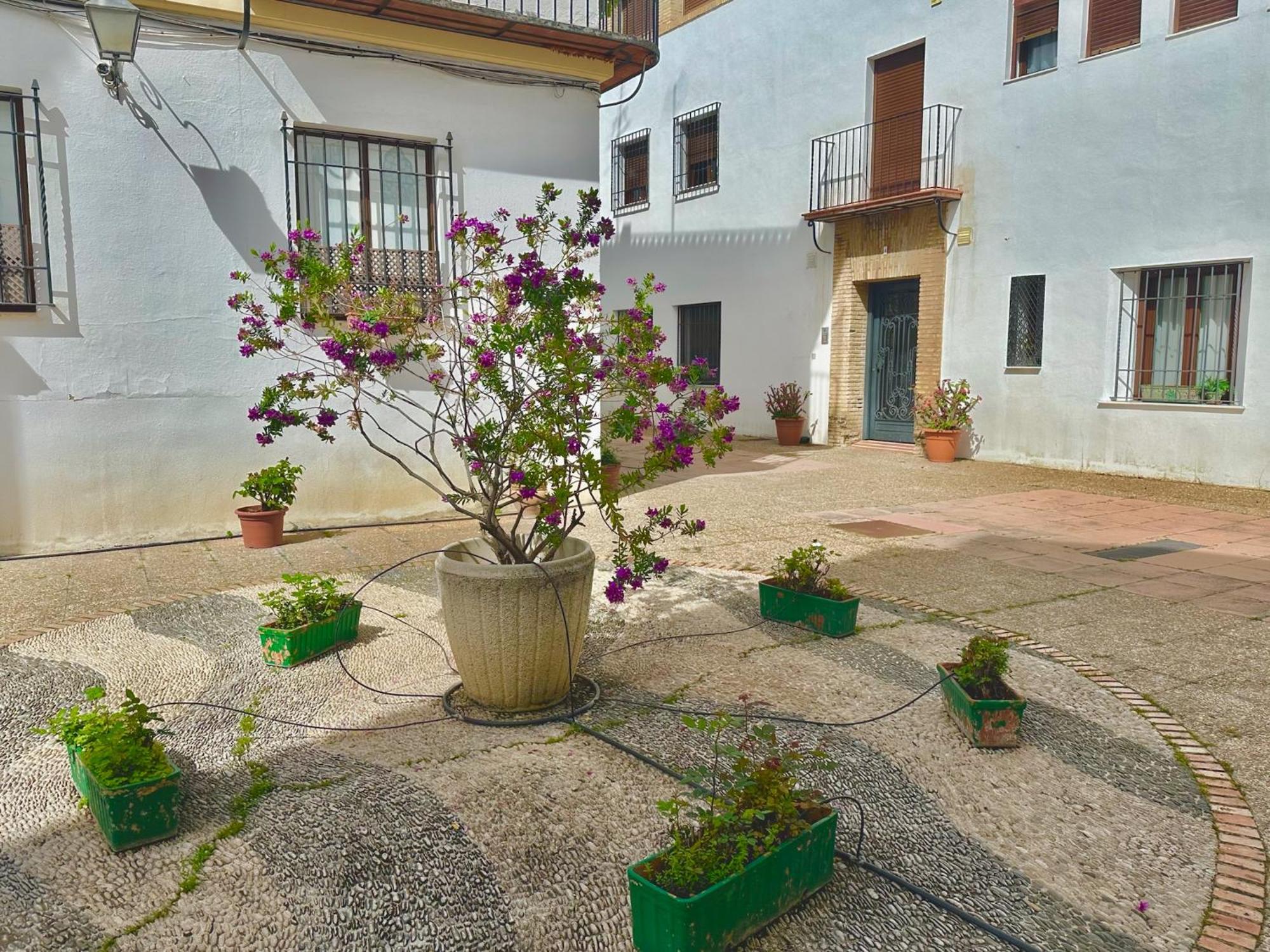 Orive House Apartment Kordoba Bagian luar foto